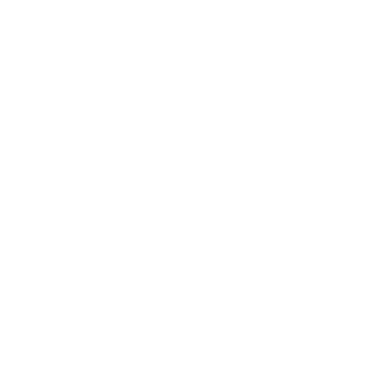 logo light